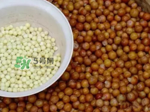 雞頭米一次吃多少合適？雞頭米可以多吃嗎