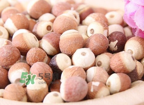 雞頭米是涼性的嗎？雞頭米是哪里的特產(chǎn)