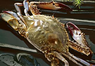 梭子蟹放冷藏還是冷凍？梭子蟹可以放速凍嗎？