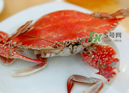 梭子蟹可以清蒸嗎？梭子蟹蒸還是煮？