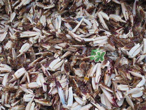 冷凍的梭子蟹能吃嗎？冷凍的梭子蟹怎么做？