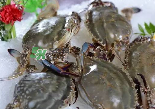 梭子蟹放冷藏還是冷凍？梭子蟹可以放速凍嗎？