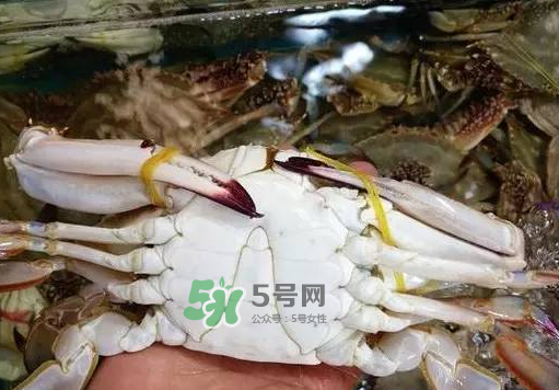 梭子蟹放冷藏還是冷凍？梭子蟹可以放速凍嗎？