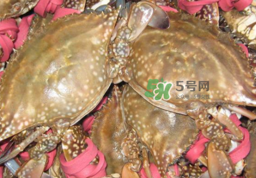 梭子蟹放冷藏還是冷凍？梭子蟹可以放速凍嗎？