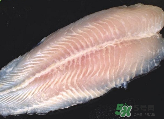 龍利魚有刺嗎？龍利魚有魚鱗嗎