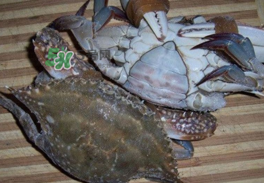 梭子蟹放冷藏能活多久？梭子蟹放冷凍保存多久？