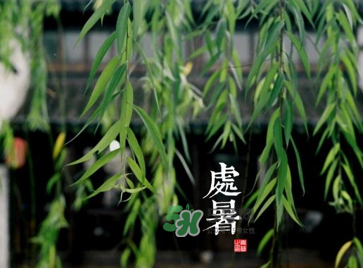 2017處暑還熱嗎？2017處暑后天氣還熱嗎？