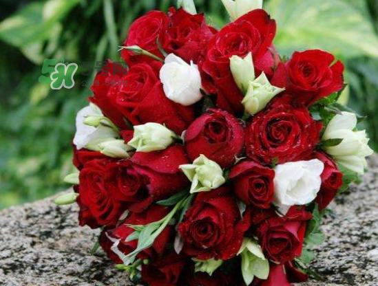 2017處暑結(jié)婚好嗎？2017處暑可以結(jié)婚嗎？