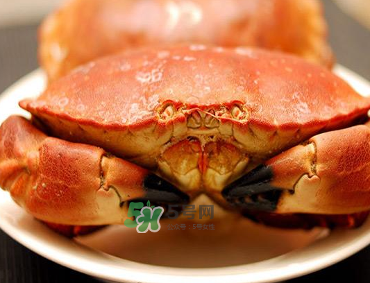 面包蟹一只多少斤？面包蟹一只多少錢？