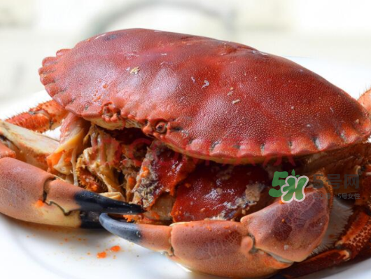 面包蟹一只多少斤？面包蟹一只多少錢？