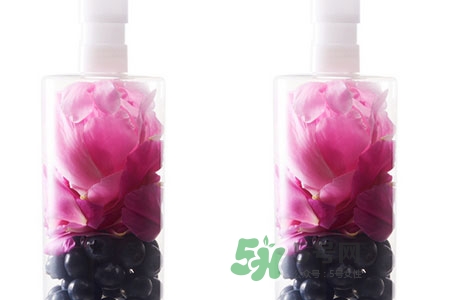 植村秀巴西莓果潔顏凝露怎么樣_好用嗎 植村秀巴西莓果潔顏凝露怎么樣_好用嗎