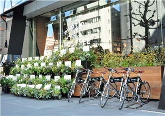 niko and...是什么牌子？niko and…是什么價(jià)位？