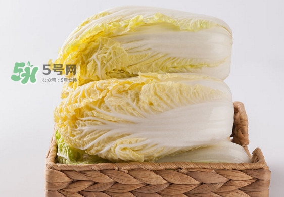 娃娃菜是什么季節(jié)的？娃娃菜什么時(shí)候種植