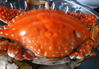 梭子蟹可以清蒸嗎？梭子蟹蒸還是煮？