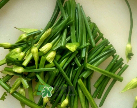 韭菜苔孕婦能吃嗎？孕婦可以吃韭菜苔嗎