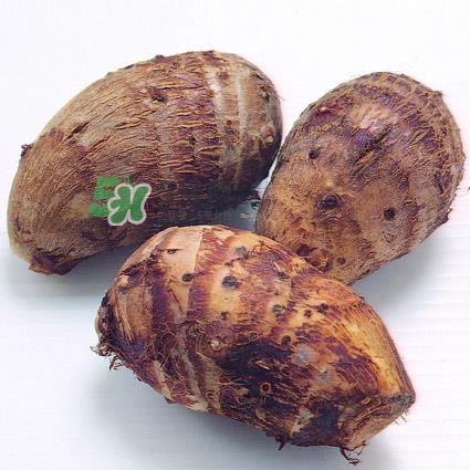 中秋節(jié)為什么吃芋頭？中秋節(jié)吃芋頭的來源