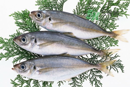 龍利魚是鱈魚嗎？龍利魚和鱈魚哪個好吃