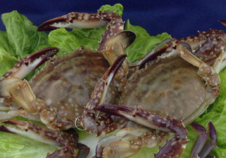 梭子蟹放冷藏能活多久？梭子蟹放冷凍保存多久？