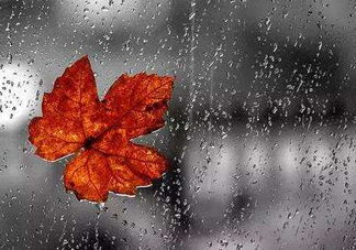 2017處暑會下雨嗎？處暑會下雨好嗎？