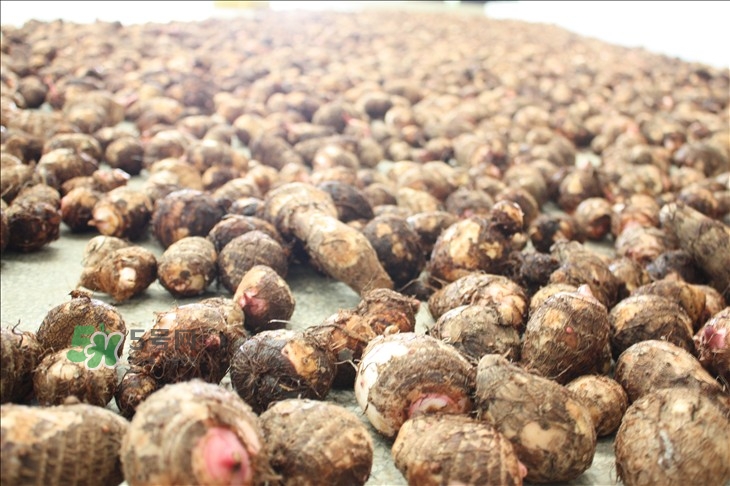 中秋節(jié)為什么吃芋頭？中秋節(jié)吃芋頭的來源