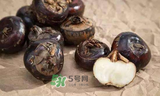 野荸薺是什么樣子的？野荸薺的營養(yǎng)價值