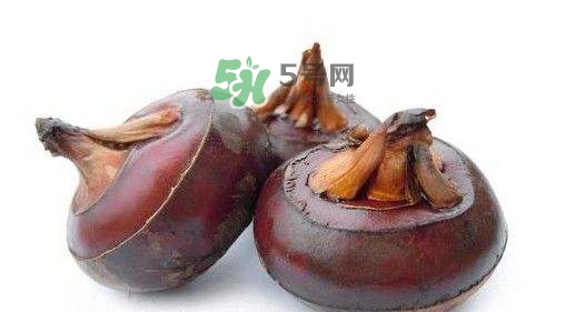 野荸薺怎么吃？野荸薺的食用功效