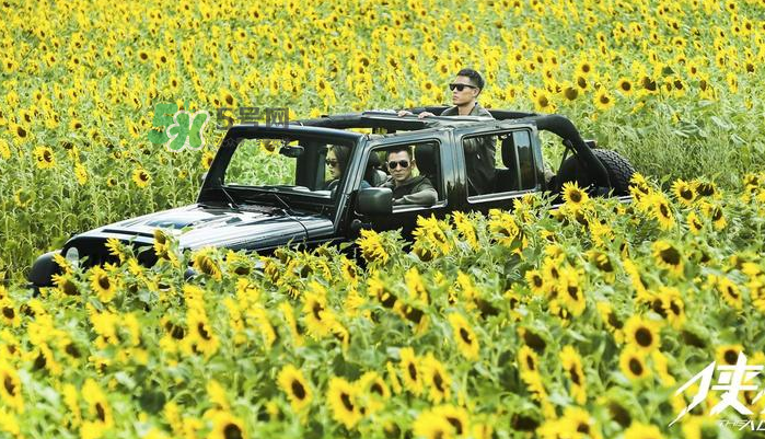 俠盜聯(lián)盟張丹開的越野車什么牌子？俠盜聯(lián)盟劉德華開的什么車？