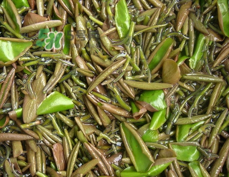 莼菜是發(fā)物嗎？莼菜涼拌要過開水嗎