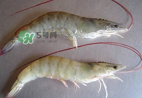 太湖白蝦多少錢一斤？太湖白蝦干多少錢一斤