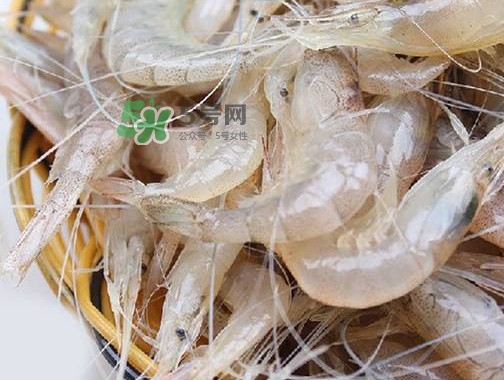 白蝦是河蝦還是海蝦？白蝦是寒性的嗎