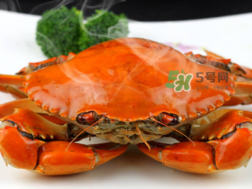 青蟹可以冷凍嗎？青蟹冷凍了還可以吃嗎？