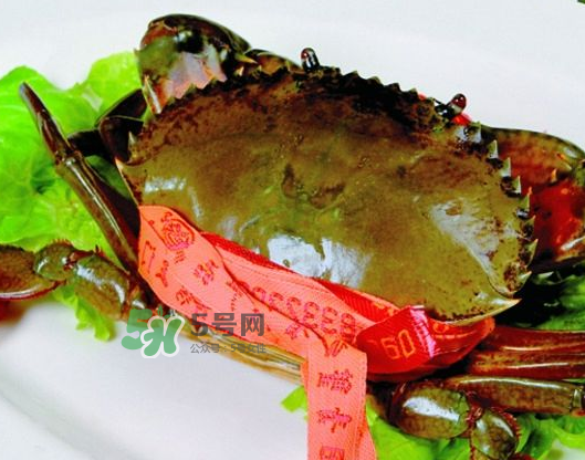 青蟹能放幾天？青蟹能活多久？