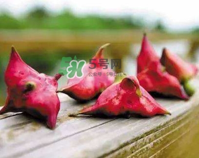 紅菱什么時候上市？什么時候采紅菱