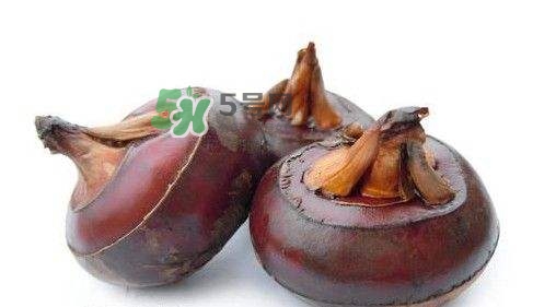 吃荸薺有什么好處？吃荸薺的禁忌