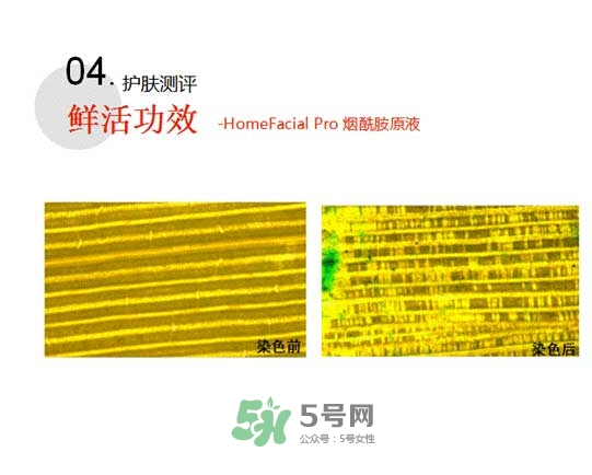 homefacialpro煙酰胺原液怎么樣？hfp煙酰胺原液好用嗎