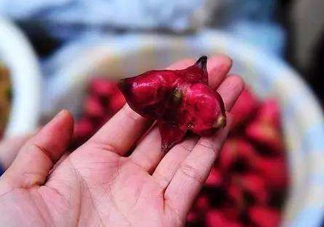 紅菱怎么吃？吃紅菱有什么好處？