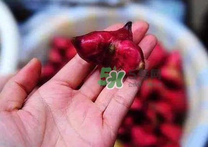紅菱怎么吃？吃紅菱有什么好處？