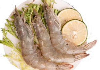 白蝦是河蝦還是海蝦？白蝦是寒性的嗎