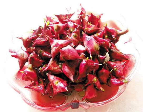 紅菱多少錢一斤？菱角嫩的好吃還是老的好吃？