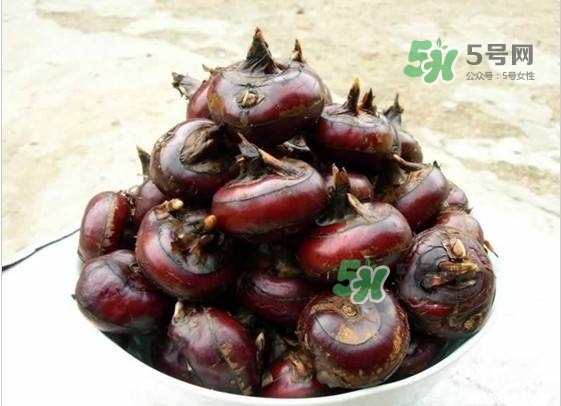 野荸薺是什么樣子的？野荸薺的營養(yǎng)價值