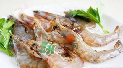 白蝦有寄生蟲嗎？如何選購新鮮的蝦