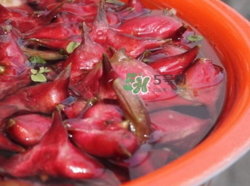 紅菱什么時候上市？什么時候采紅菱