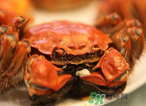 太湖蟹什么時(shí)候上市？太湖蟹幾月份有