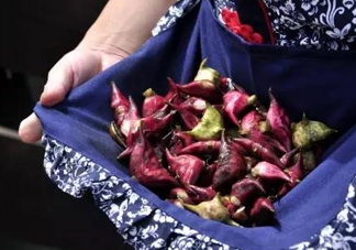 紅菱是什么水果？胃不好可以吃紅菱嗎