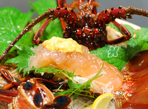 七彩神蝦吃什么？七彩神蝦怎么養(yǎng)？