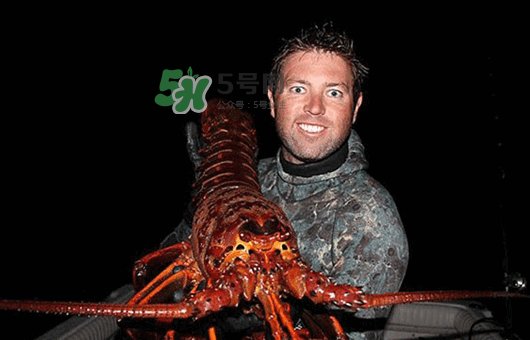 七彩神蝦多少錢(qián)一斤？七彩神蝦估值