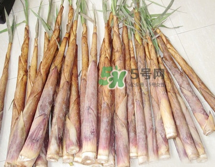 苦筍是什么竹子？苦筍是發(fā)物嗎