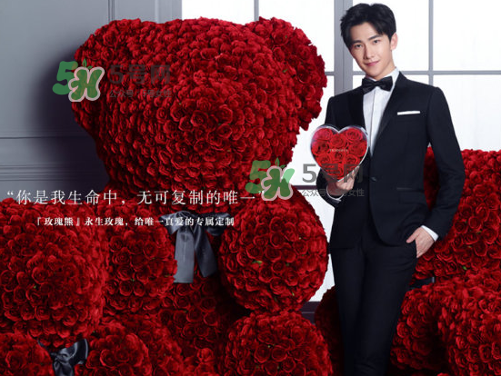 roseonly熊怎么樣？roseonly玫瑰熊好看嗎？