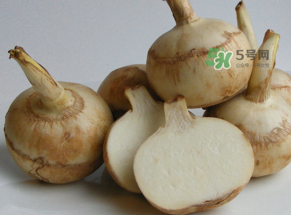 慈姑是什么？慈姑是水生植物嗎