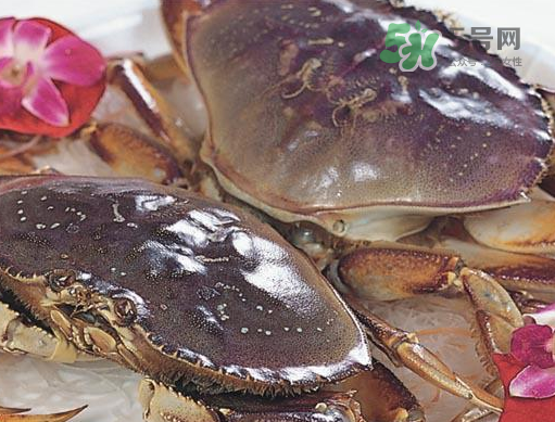 太子蟹好吃還是面包蟹好吃？太子蟹和面包蟹的區(qū)別